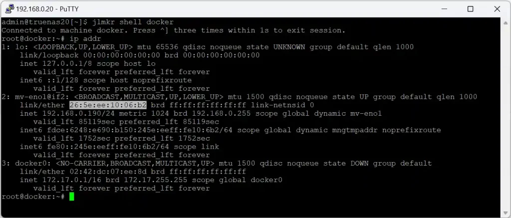 A terminal window showing the execution of the "jlmkr shell docker" command on a TrueNAS system, followed by network interface details obtained through the "ip addr" command.